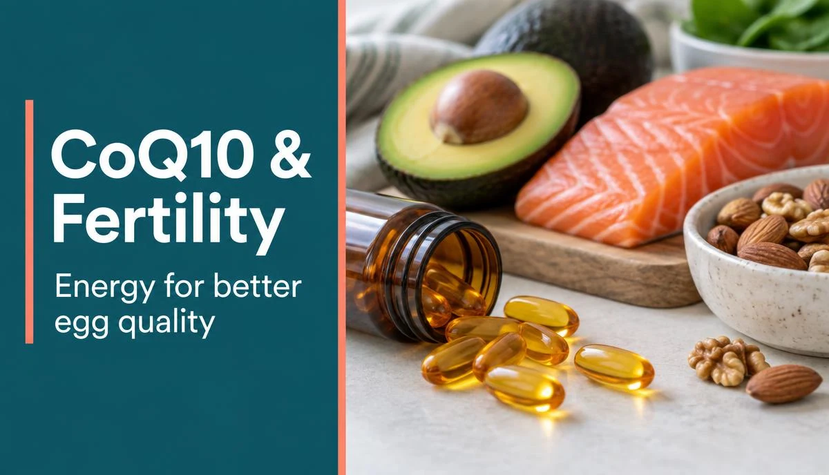 What is CoQ10? Its Role in Fertility and Reproductive Health