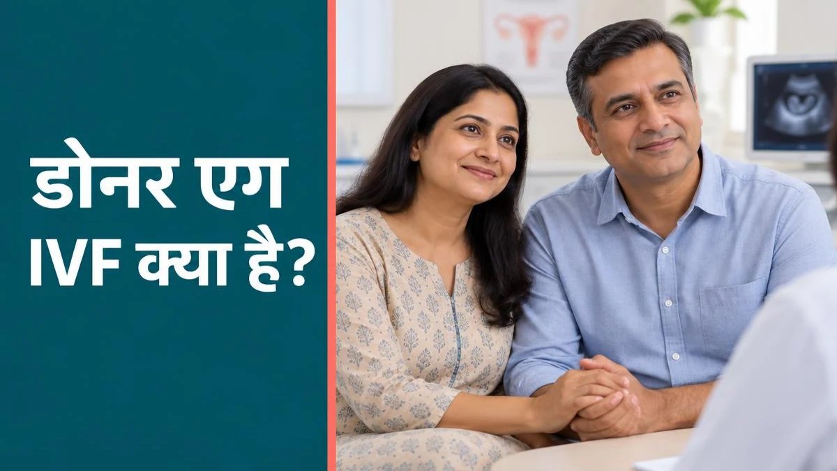 Donor Egg IVF क्या है? पूरी प्रक्रिया, तैयारी और सफलता की संभावना