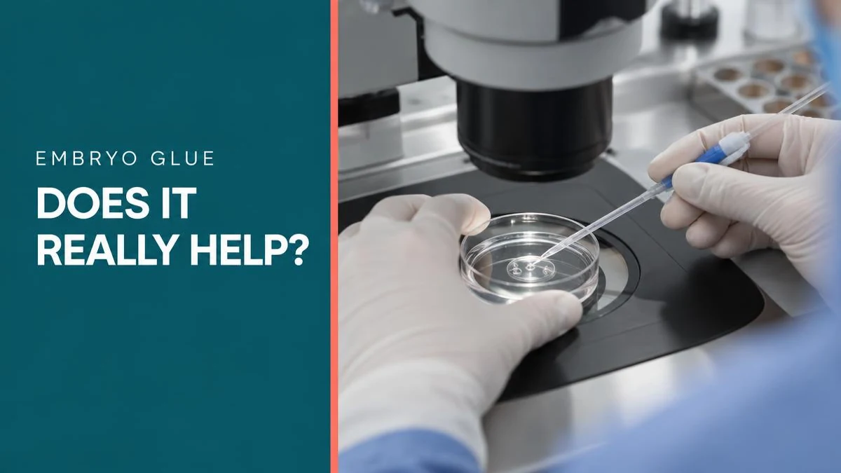 Embryo glue in IVF: Does it really increase implantation rates?